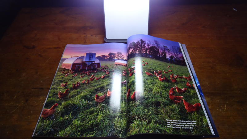 Illustration for article titled Energizer Light Fusion LED Lantern Lightning Review: A Light for Every Emergency